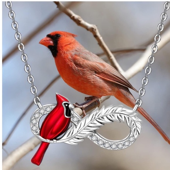 18k Infinity Cardinal Diamond Necklace Angel Feather Messenger from Heaven - Picture 7 of 8